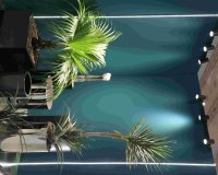 ششمین دوره نمایشگاه بین المللی ایران سبز (I.G.T.F.2024)