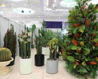 ششمین دوره نمایشگاه بین المللی ایران سبز (I.G.T.F.2024)