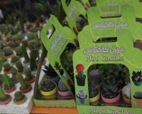 ششمین دوره نمایشگاه بین المللی ایران سبز (I.G.T.F.2024)